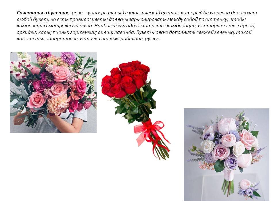 Фото из Презентации автора. Листайте галерею.


