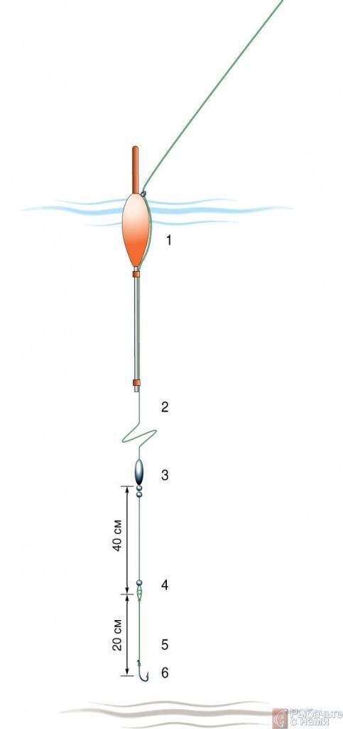 Поплавочная снасть (взято из открытых источников) 