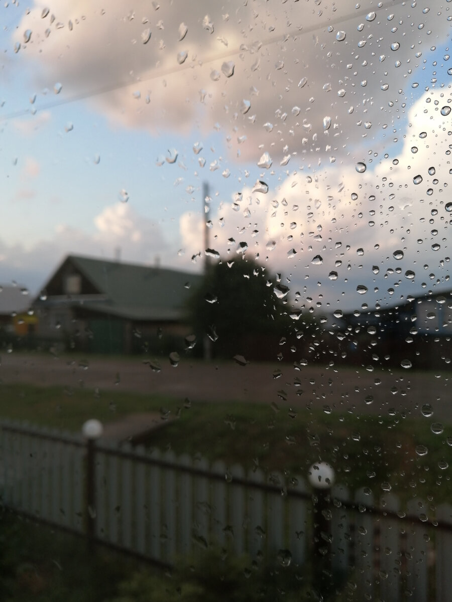 На следующий день после ливня