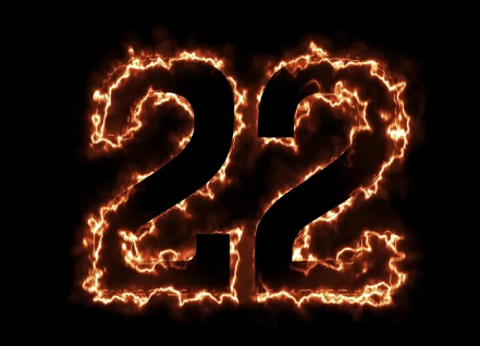 Число рождения 22