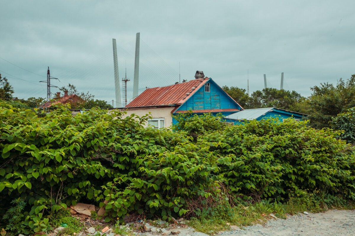 Источник Яндекс картинки