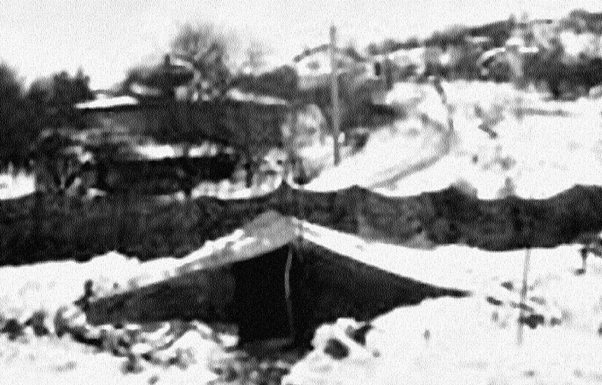 Документальная фотография с места раскопок в с. Царичина