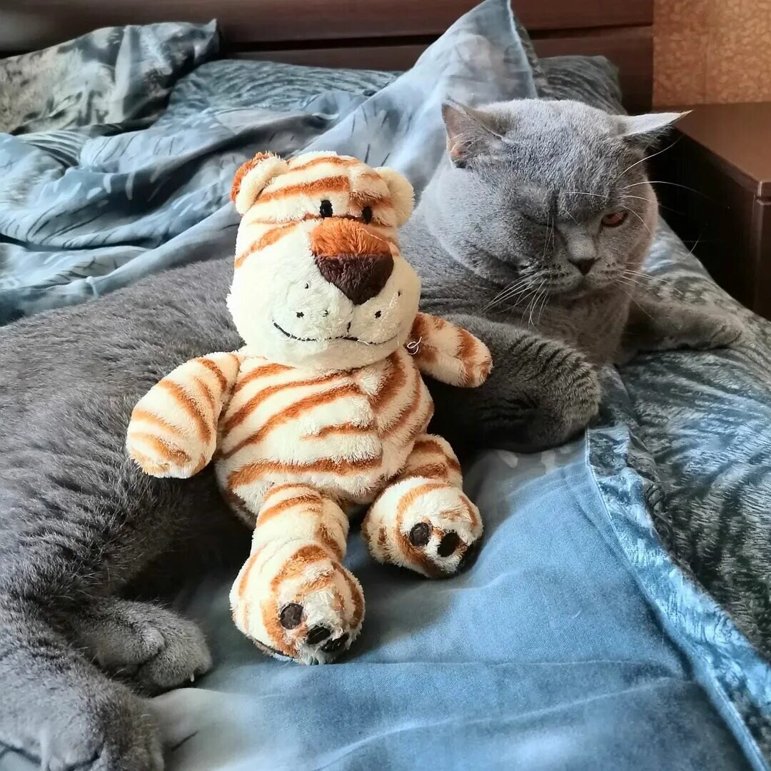 Источник: Яндекс картинки