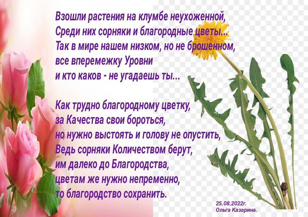 О "цветах"... 