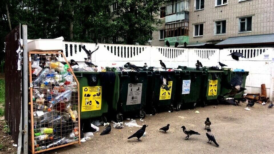     Жители города жалуются на переполненные контейнеры для раздельного сбора мусора. Об этом они пишут в комментариях Telegram-канала мэрии.