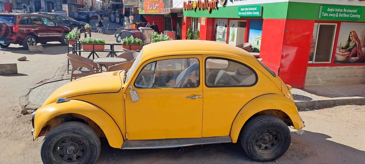 Фото автора для Дзен.