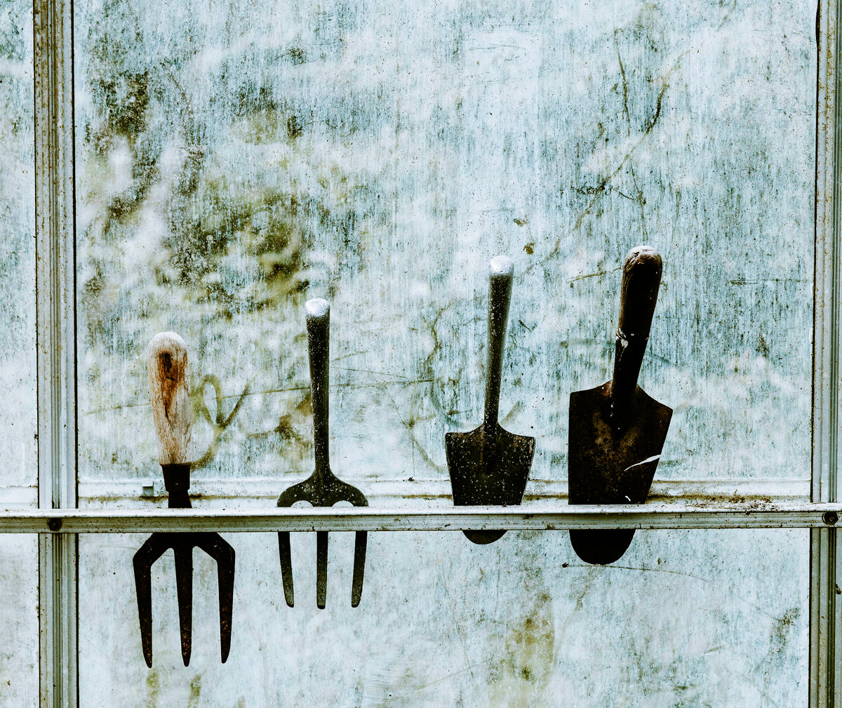 фото с сайта unsplash.com 