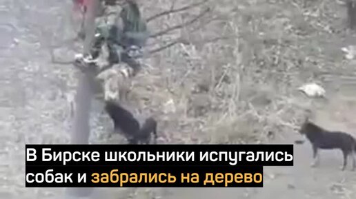 От кого учитель спас детей в рассказе фотография на которой