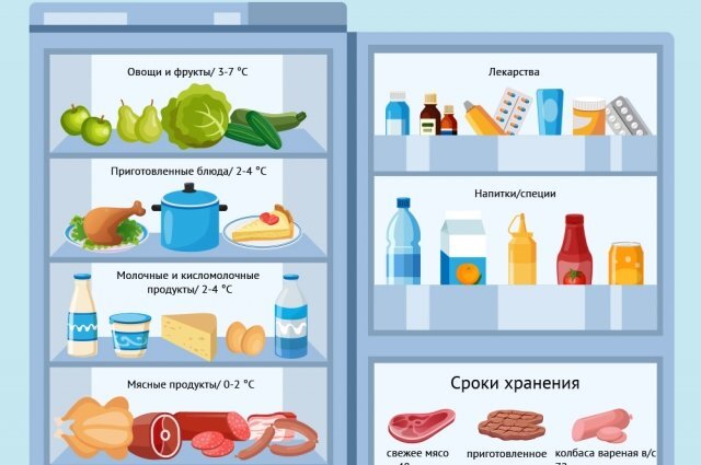    Как правильно распределять продукты в холодильнике? Инфографика