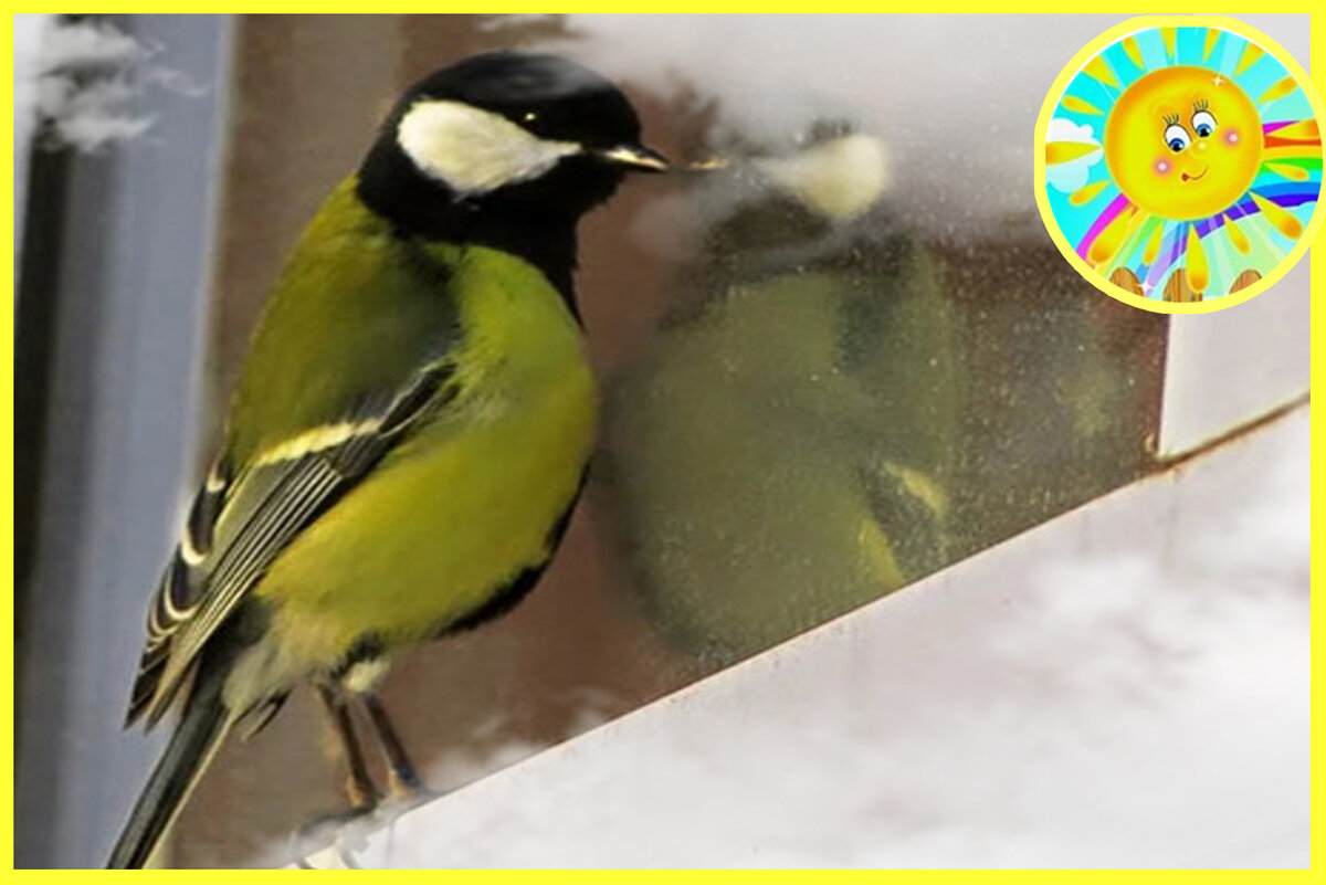 Личный архив