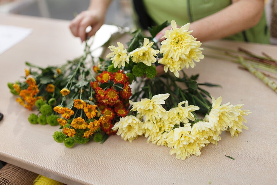    В Новосибирске 17-летняя девушка отработала летом флористом, но не получила деньги. Дмитрий АХМАДУЛЛИН