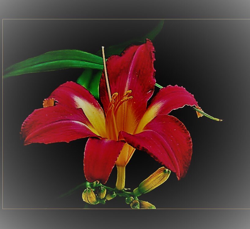 Жизнь такая, какая есть. Глава 22 | Бронзовое кольцо | Дзен