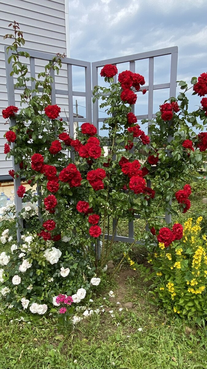 Середина июля 2022