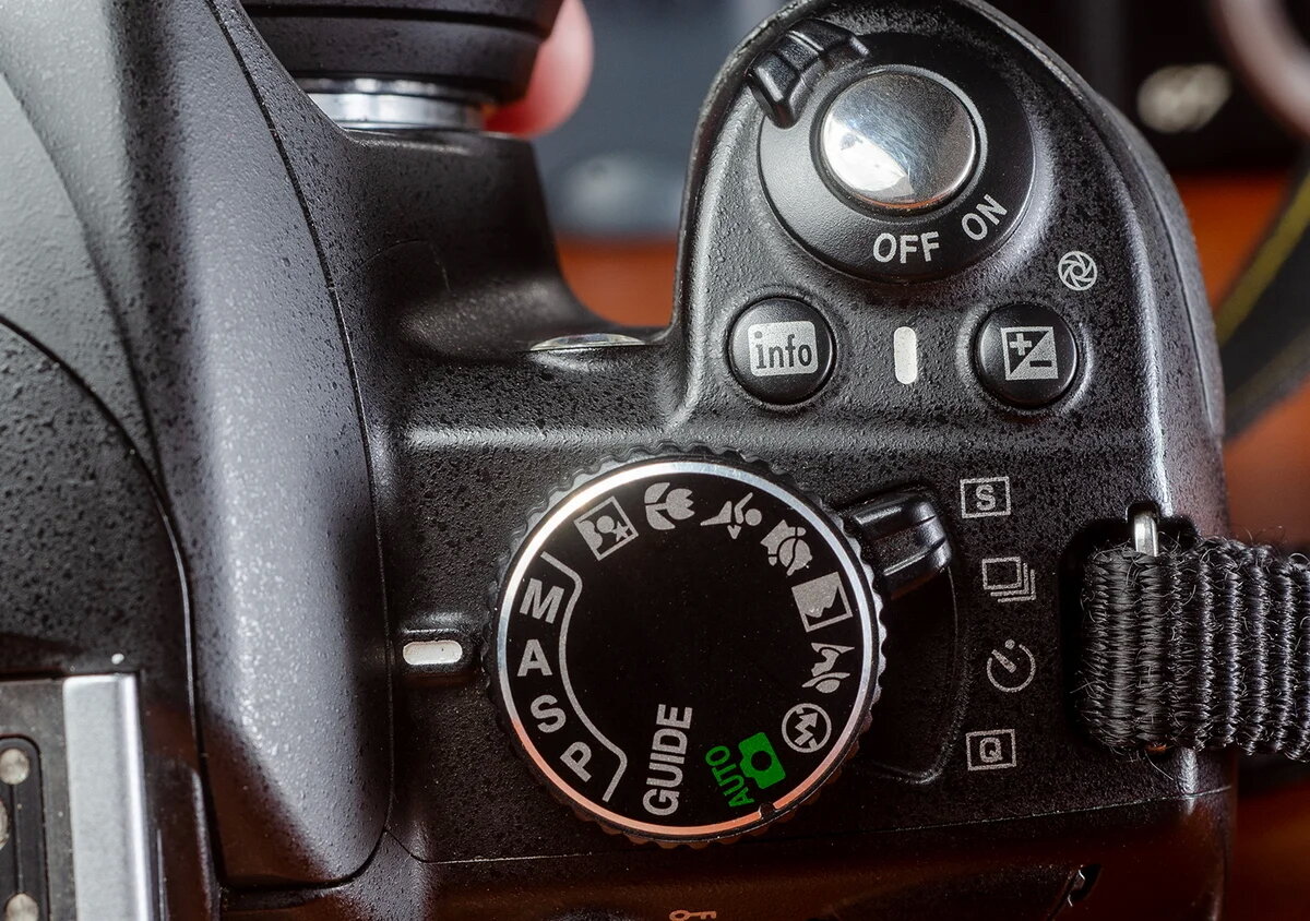 Nikon D3100