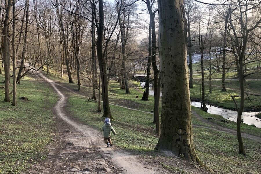 Фото: Иван Марков / Новый Калининград