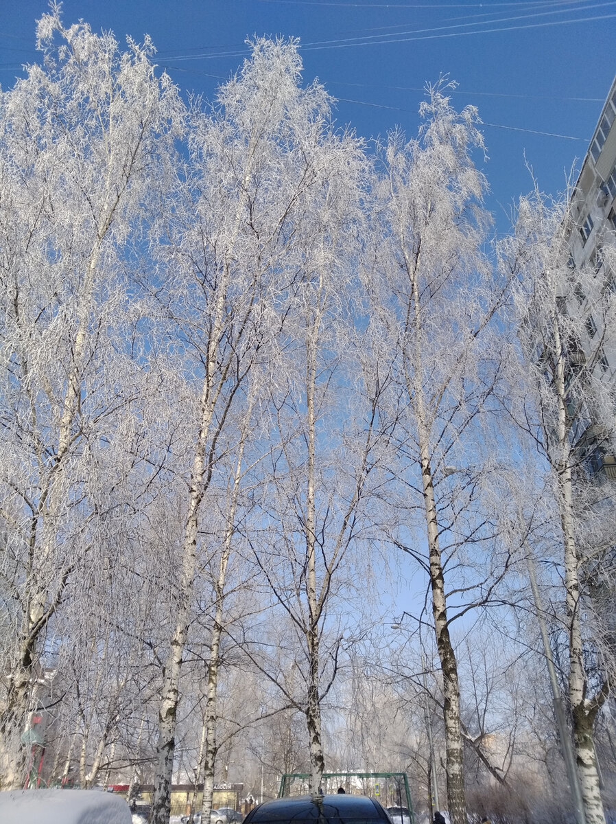 Источник личные фото автора