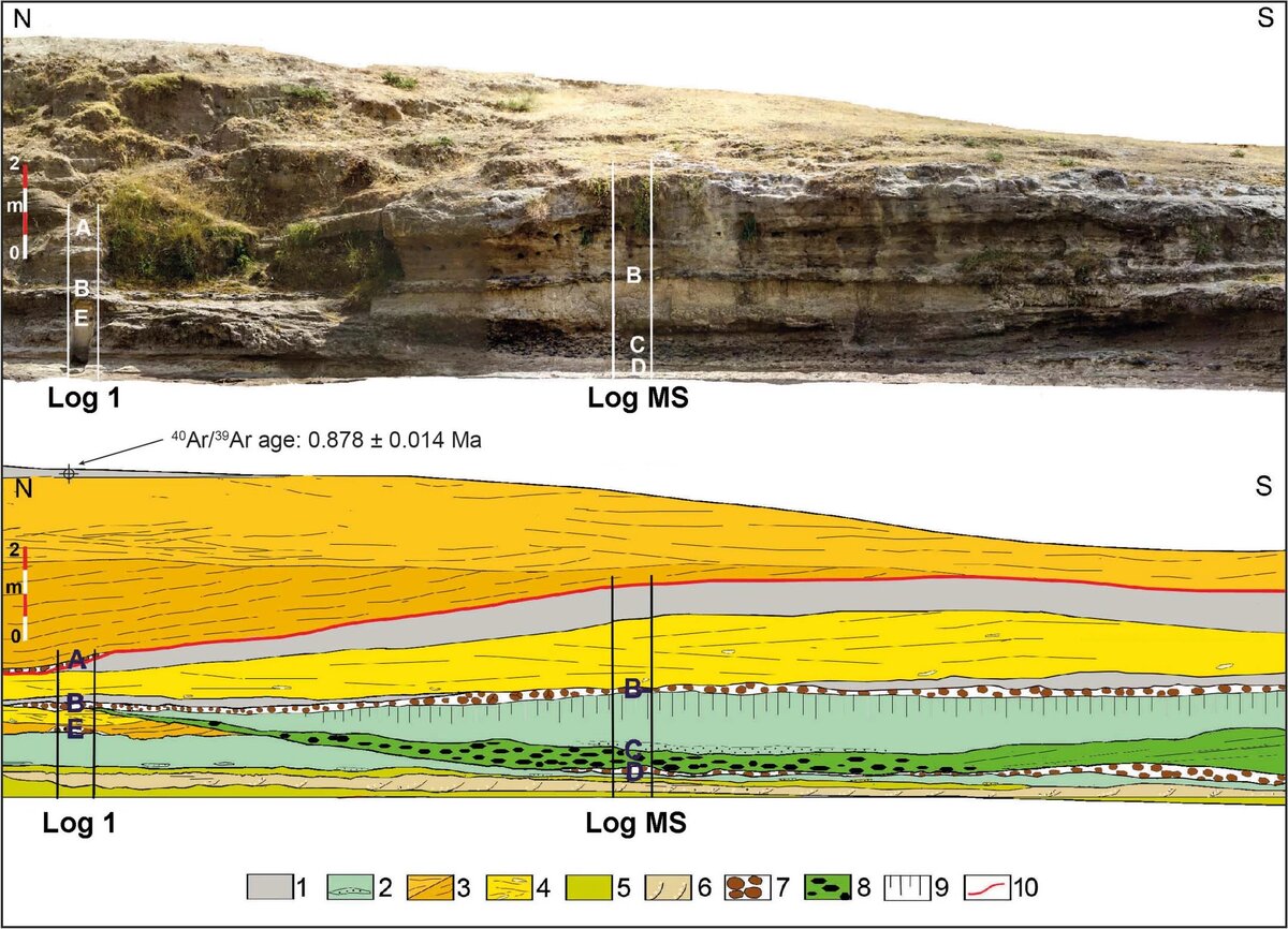 Изображение взято с сайта: https://www.nature.com/articles/s41559-022-01970-1