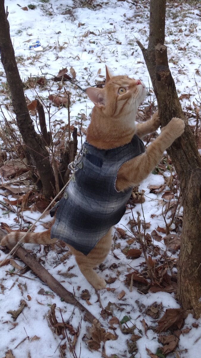 Личное  фото.