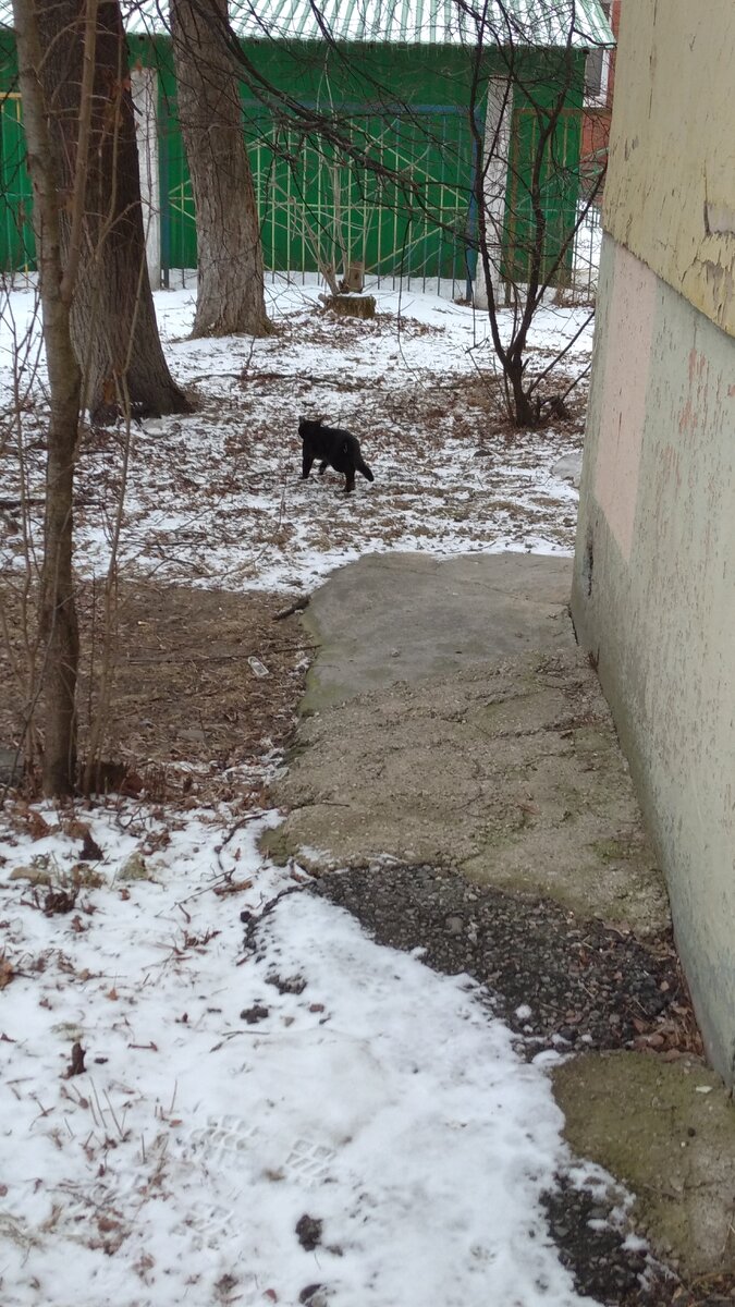 Личное  фото.