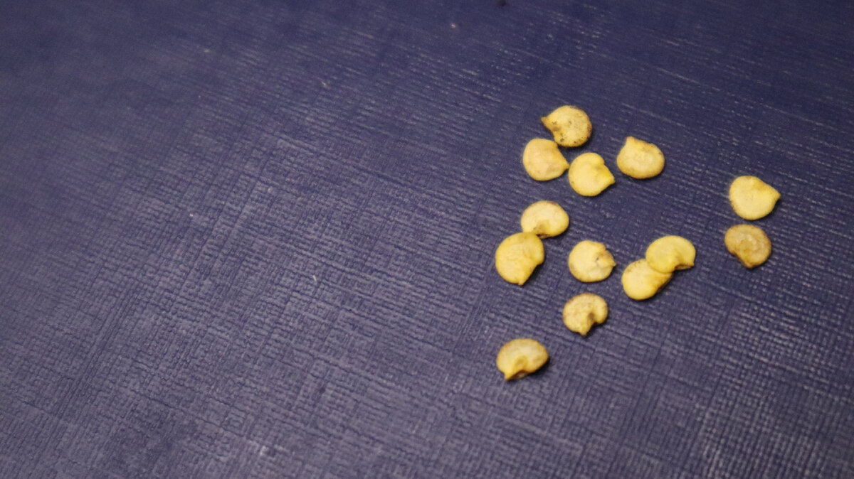 Фото из личного архива.