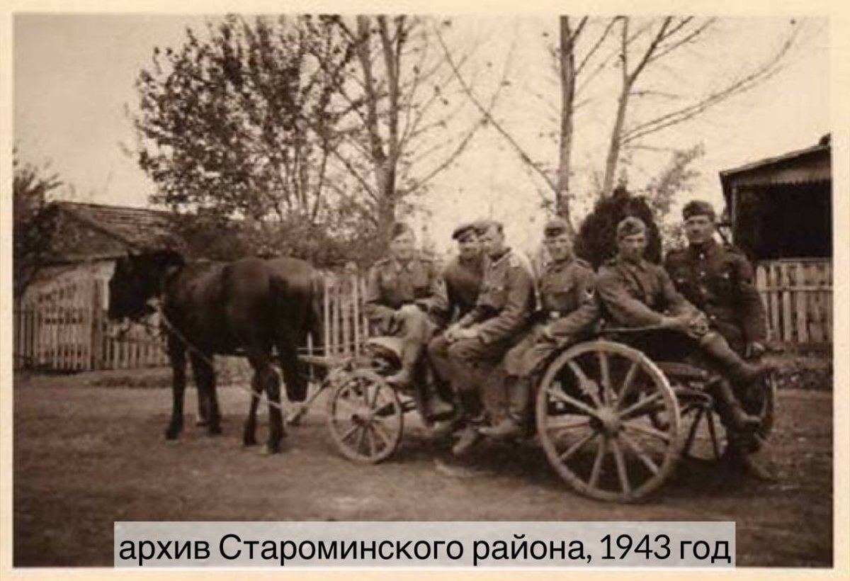    Губернатор рассказал об освобождении Ленинградского и Староминского районов