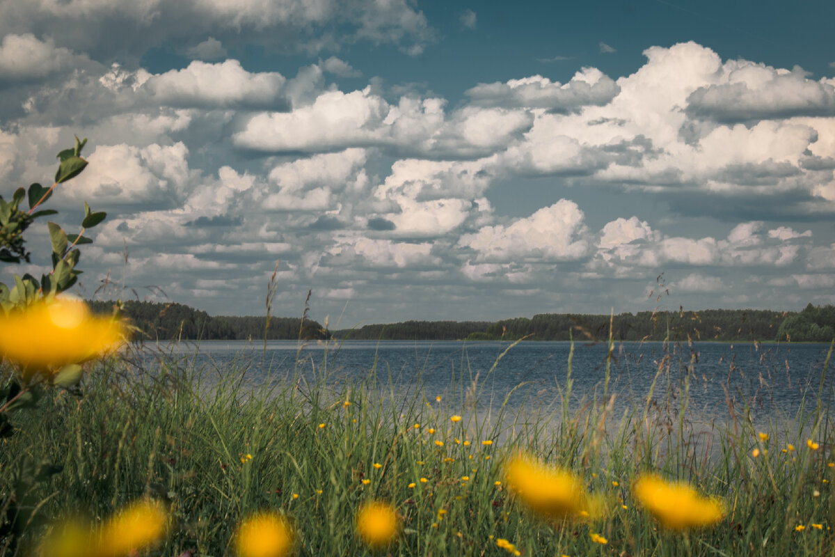 ".. прекрасный Кирсинский пруд"