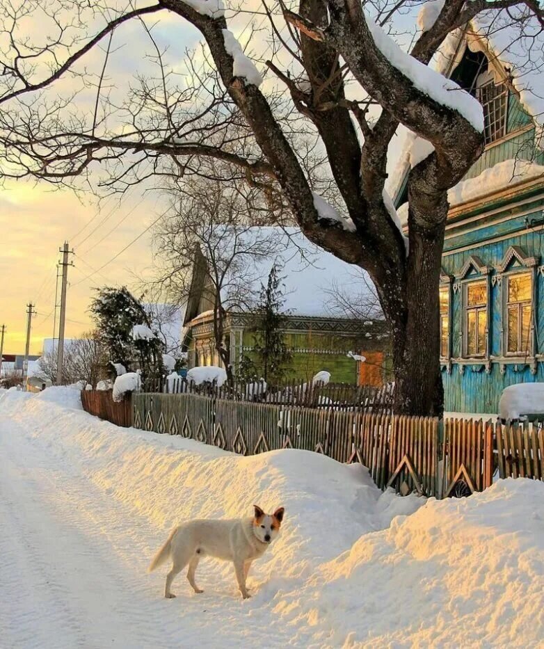 Картинка из свободного доступа