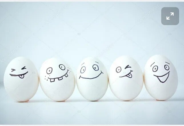 фото из открытых источников интернет