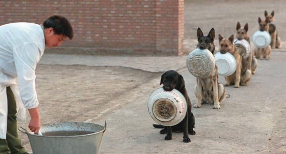 Глава 6. Спасатель, Жертва и Тиран