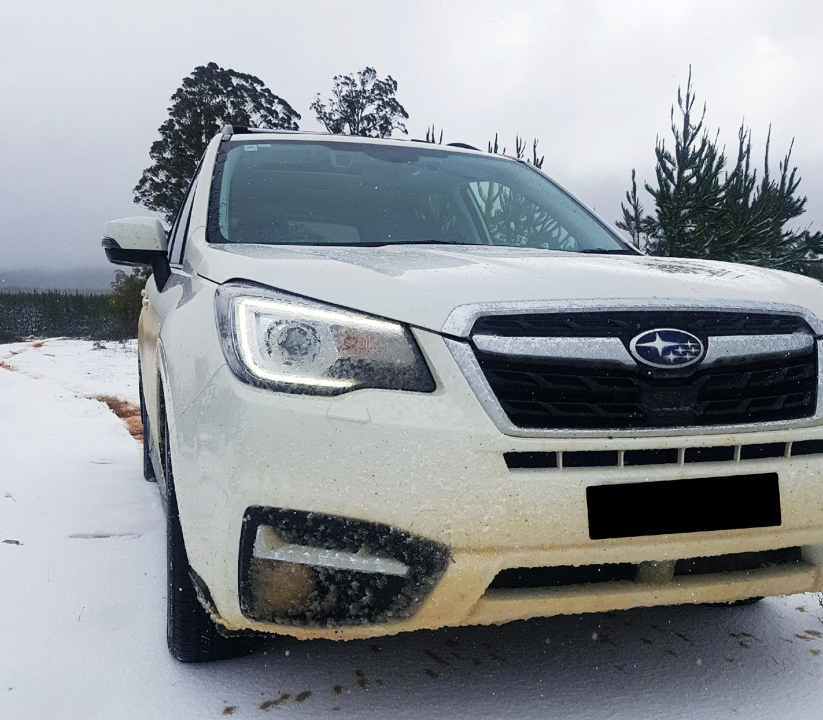 Subaru Forester 2.5i-S 2017
