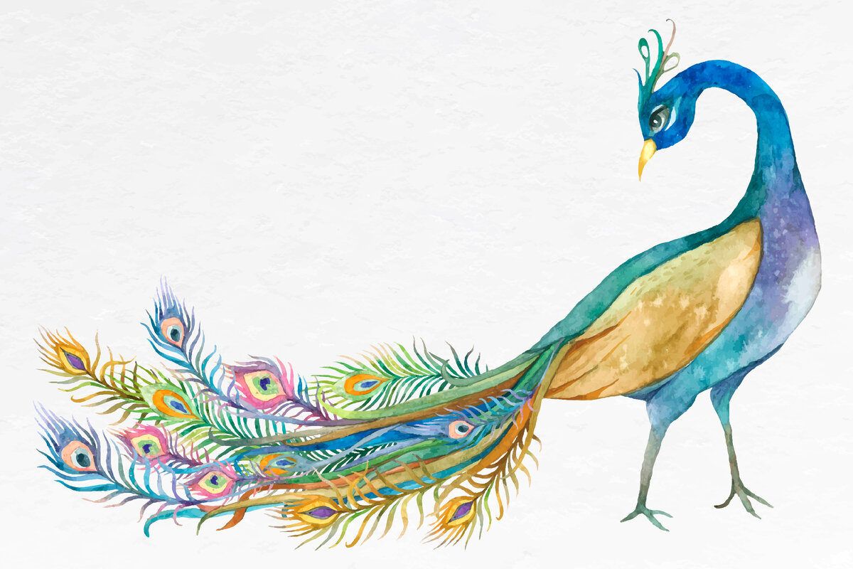 Изображение с сайта https://ru.freepik.com/