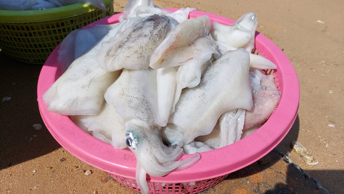 Свежие кальмары. Фото моё!