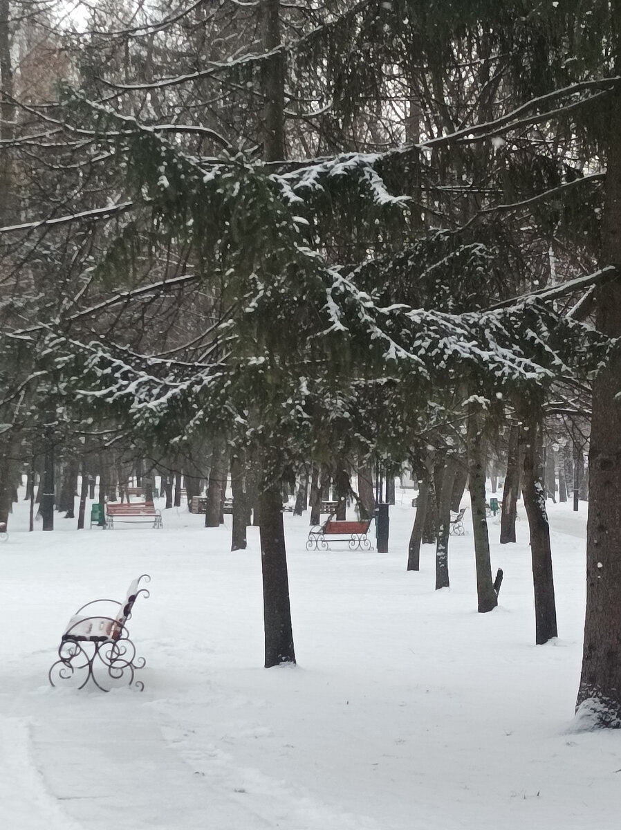 Благоустройство ещё не прибыло снег уничтожать