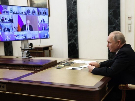     Заседание Совета по науке и образованию (в режиме видеоконференции). Фото: Kremlin.ru.
