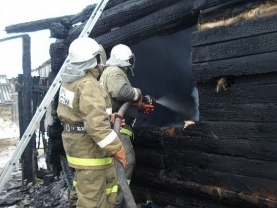     Фото: ГУ МЧС России по Томской области