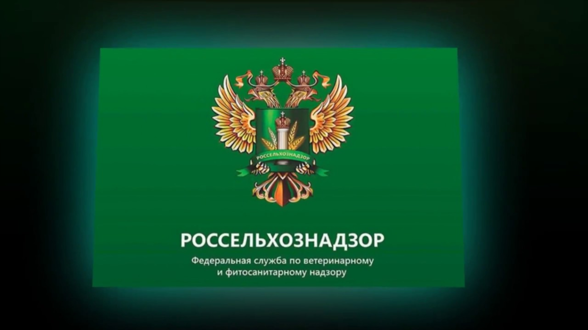 Иллюстрация в свободном доступе