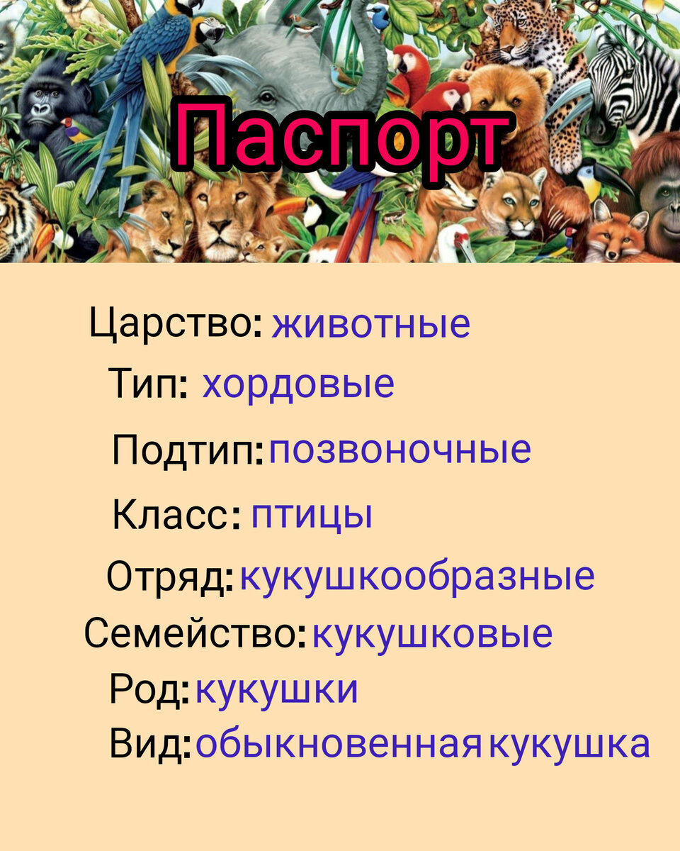 Пословицы про кукушку