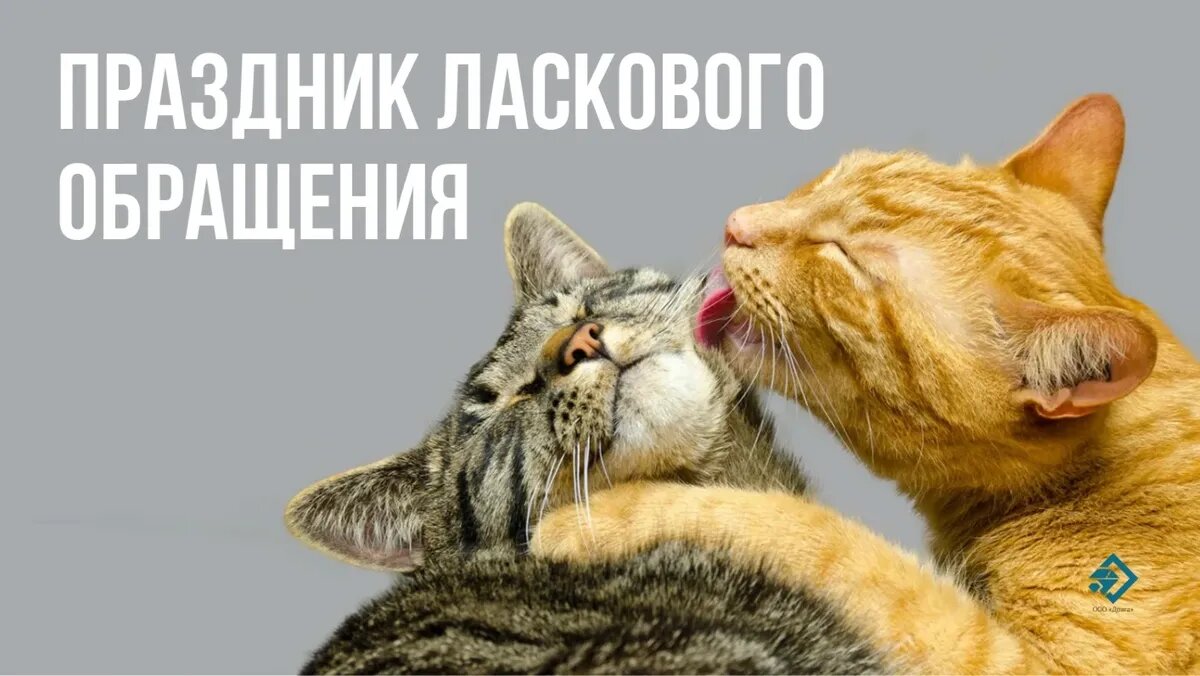 Праздник ласкового обращения. Иллюстрация: «Курьер.Среда»