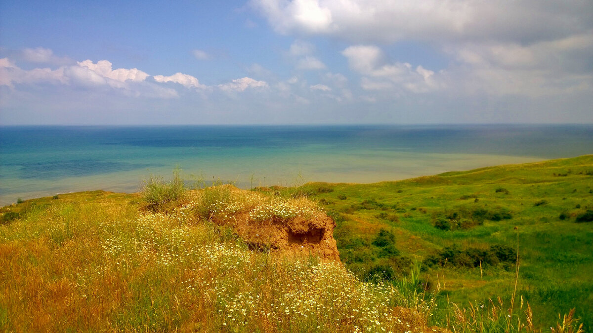 Погода в тамани краснодарский край на 10. Таманский (Краснодарский край). Кубань Таманский полуостров. Станица Тамань Краснодарский. Пейзажи Таманского полуострова.