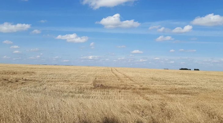    В Астраханской области стабилизировалась ситуация с топливом для АПК