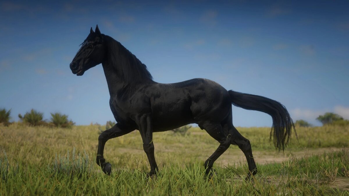 Фото: nexusmods.com  