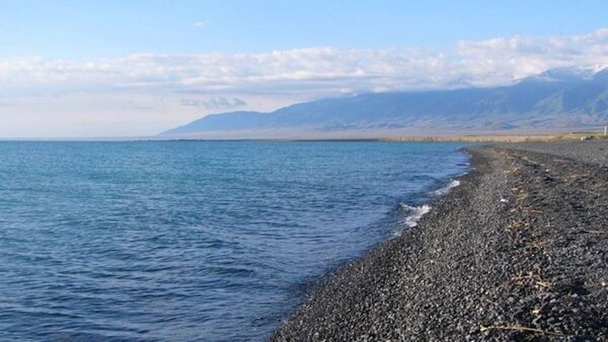    Фото: официальный сайт акимата Алматинской области Август Макаров