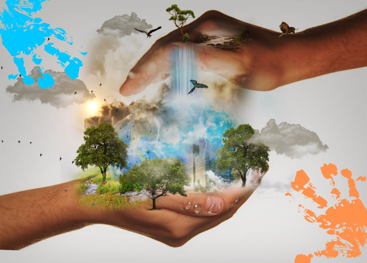 коллаж автора