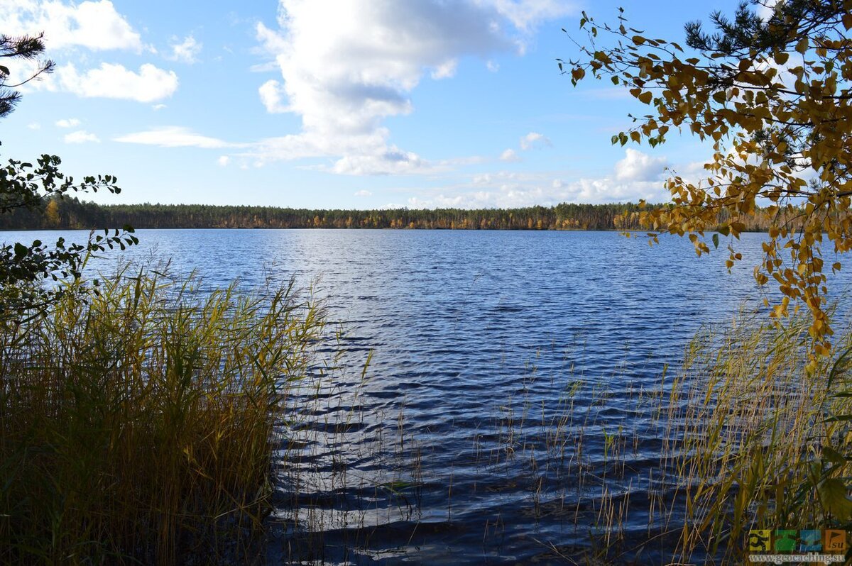 оз. Светлое