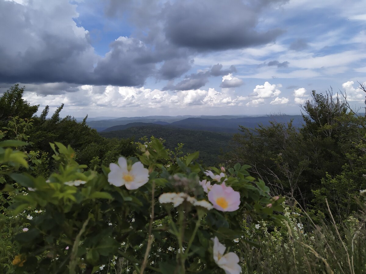 Облака добавляют драматичности любому фото, но особенно это заметно в горах.