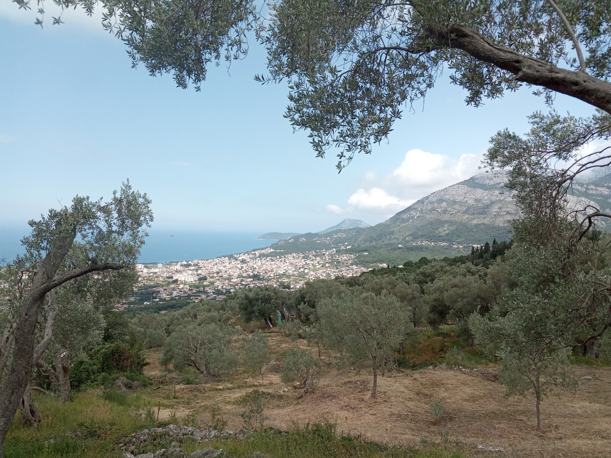 Июнь 2020, Бар