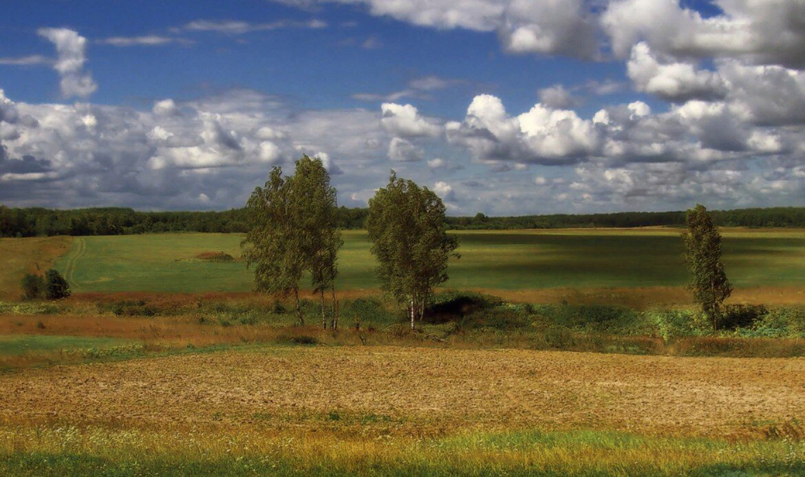 С чего начинается родина фото картинки