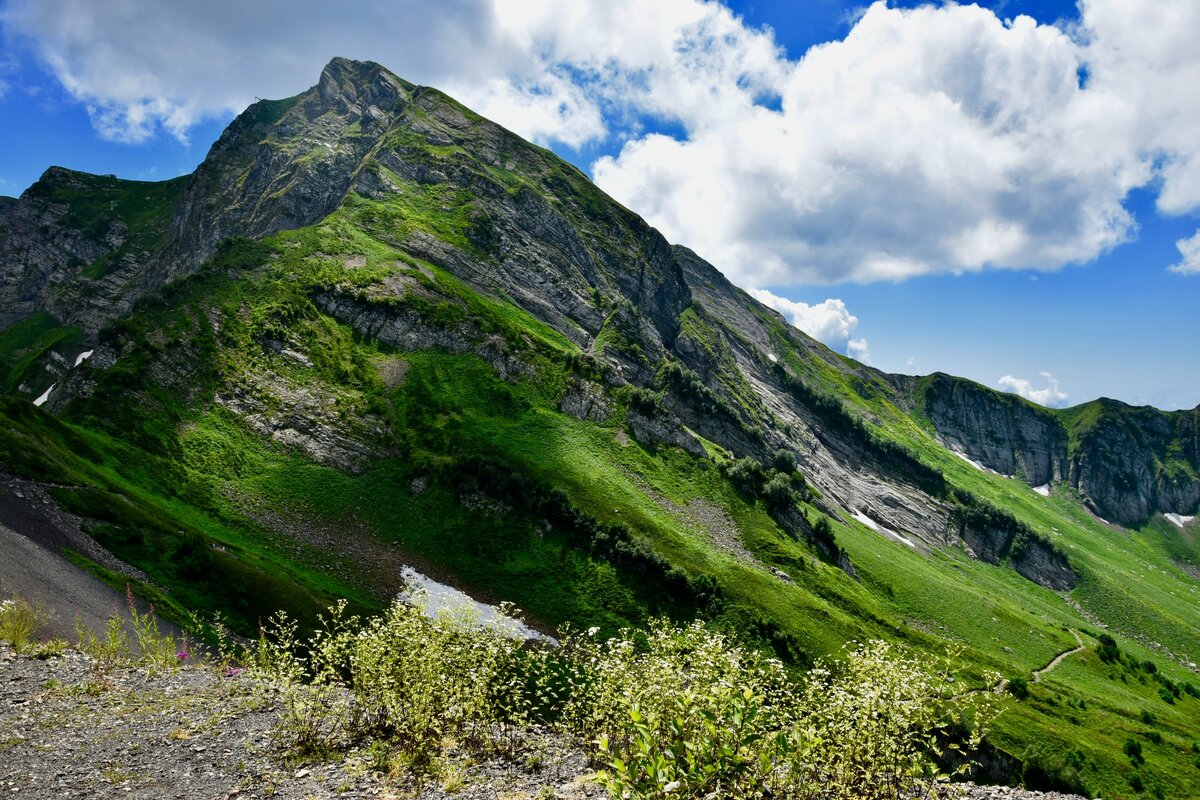 Красная Поляна, высота +2200м (автор фото @puteshestve_nika)