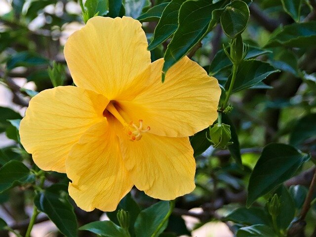 фотография с сайта pixabay.com