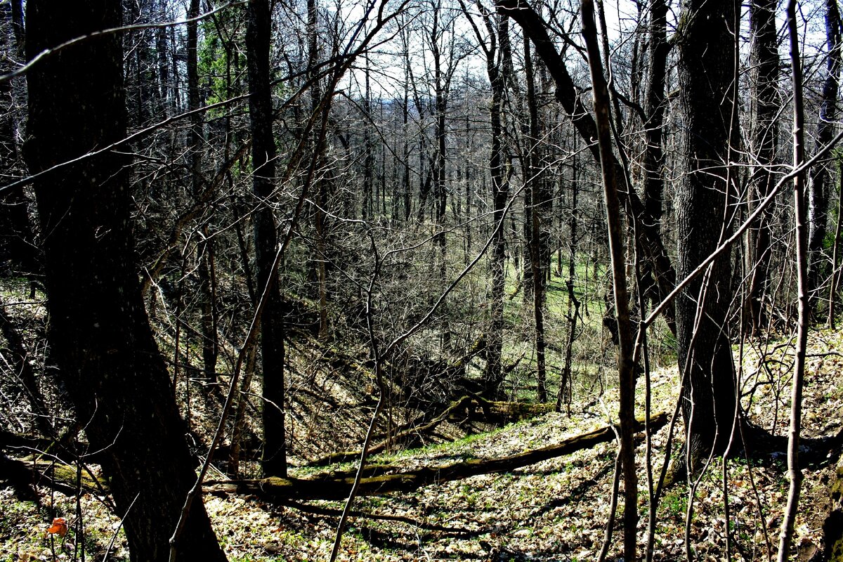 спас железный посох. поклонный крест кирсановский район. спас железный посох владимирская область. спас железный посох владимирская область. храм д марково владимирская область петушинский район.